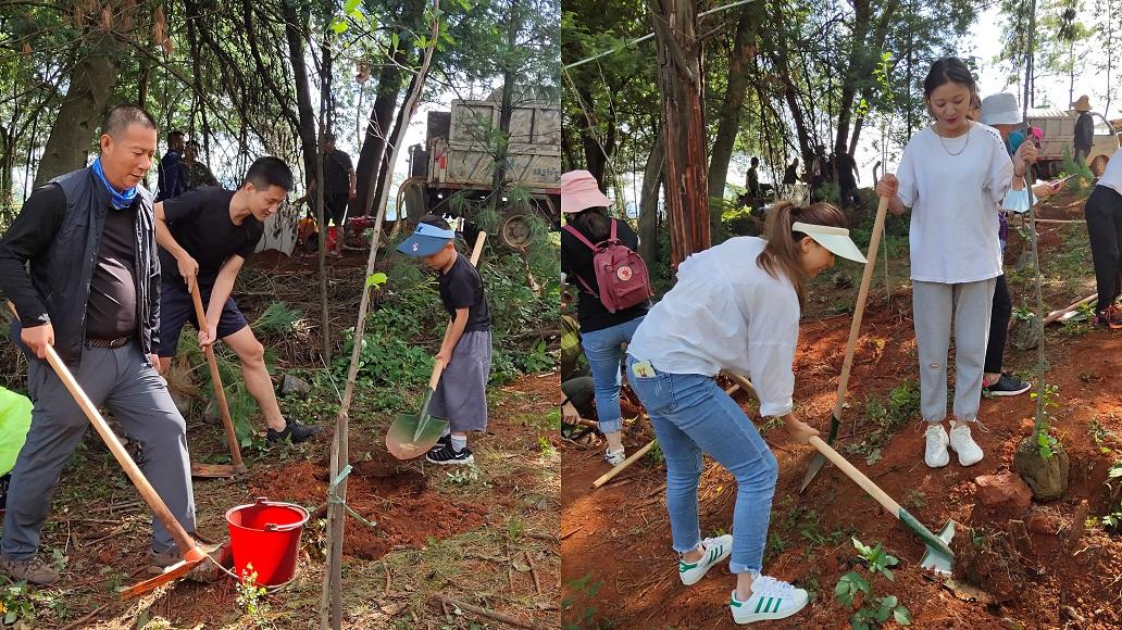 A植树1.jpg