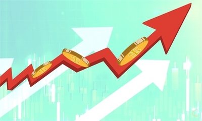 周薪10万+的“中联证投”靠什么赚钱？新手小白也能快速翻身！